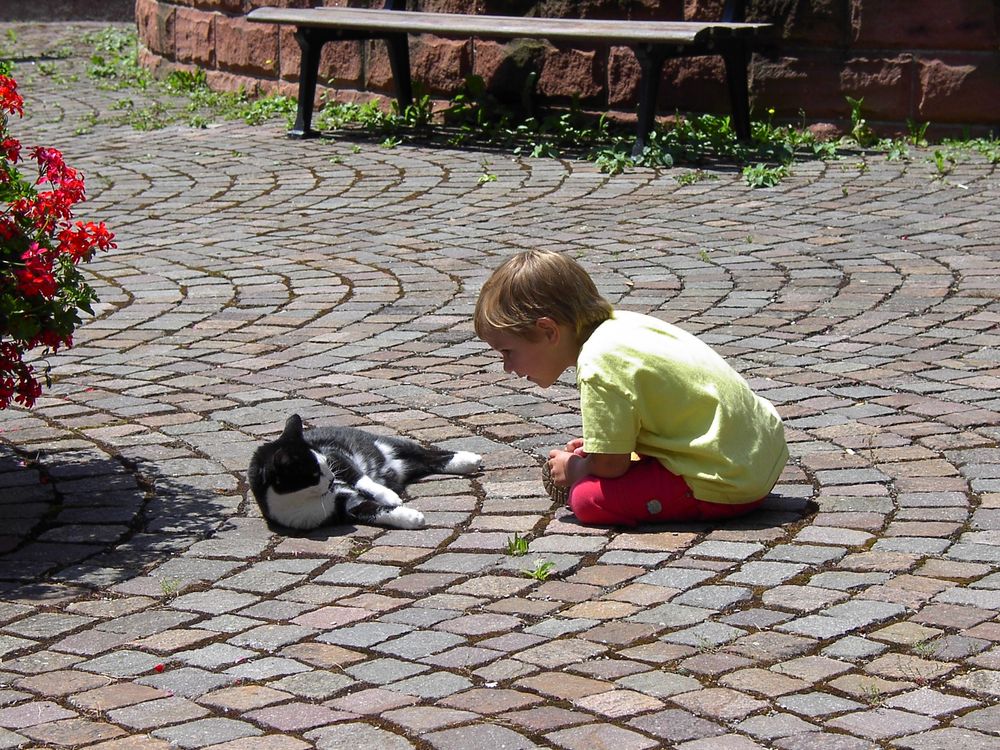 Katharina mit Katze, 5. Juli 2002